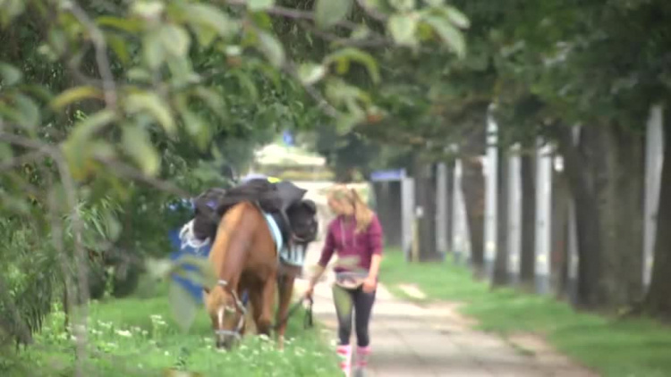 konno_do_elblaga_z_warszawy.mp4