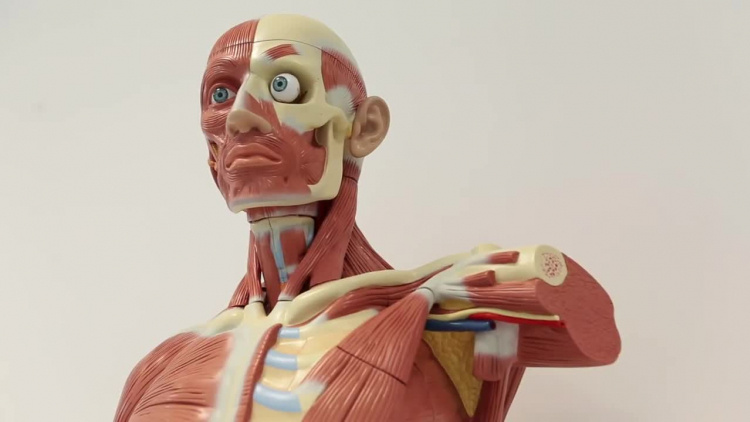 Centrum Dydaktyki i Symulacji Medycznej EUH-E w Elblągu