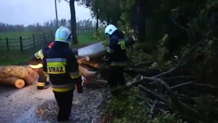 strazacy_walcza_ze_skuktami_silnego_wiatru.mp4