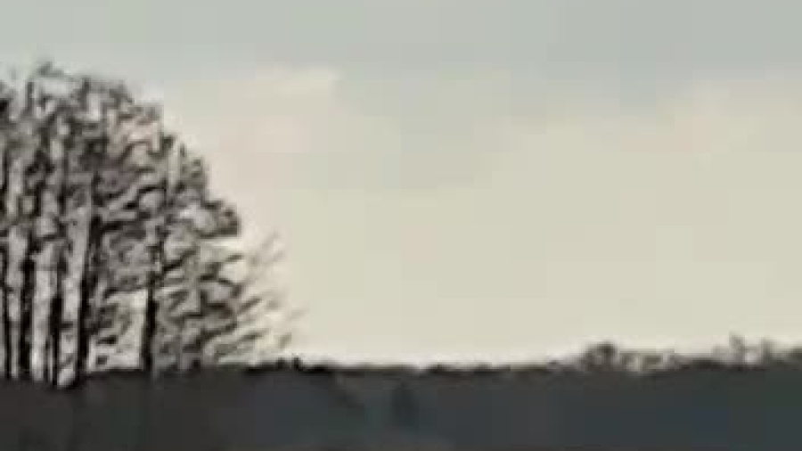 video-1615840078.mp4