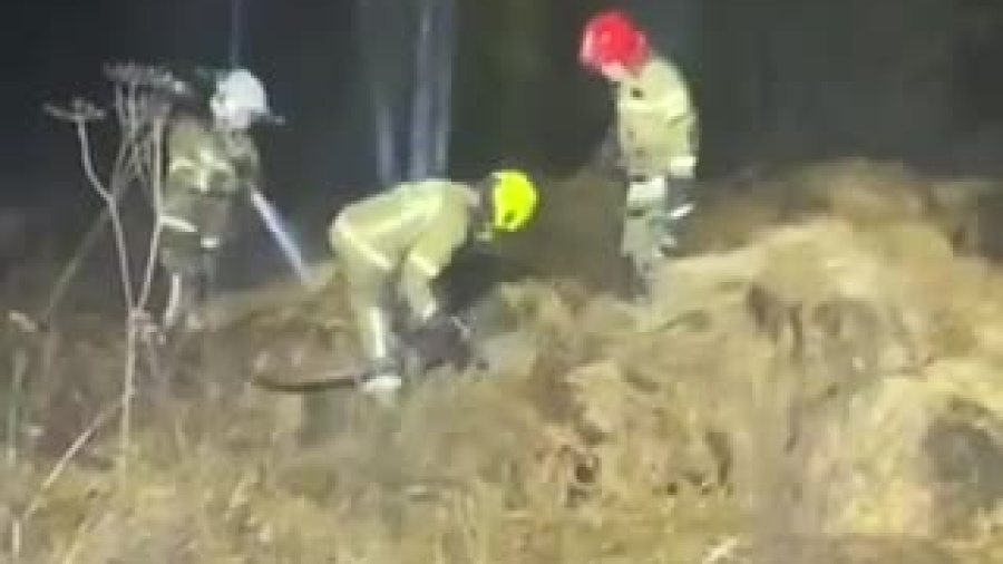 video-1635617529.mp4