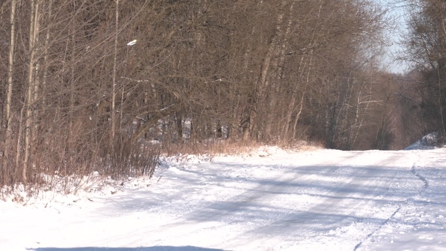 modrzewina-wylaczona-z-uzytkowania-przez-pojazdy-silnikowe.mp4