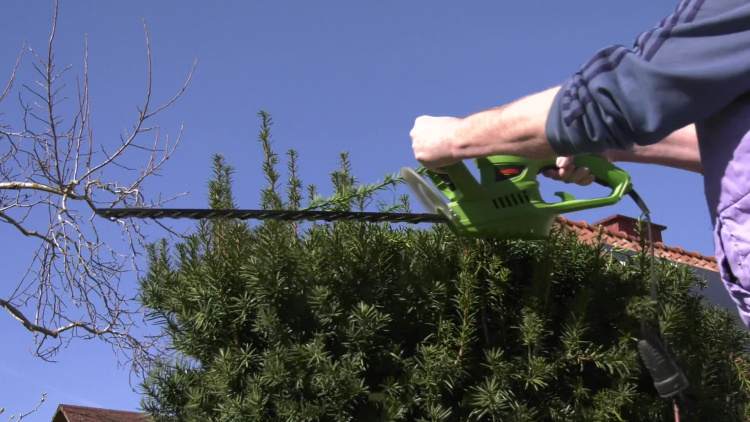 czas-na-wiosenne-porzadki-pamietaj-o-zakazie-spalania-odpadow.mp4