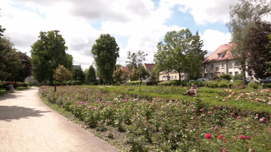 czy-w-parku-kajki-mozna-wyprowadzac-psa.mp4