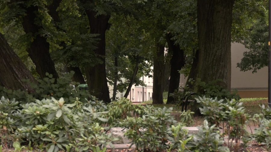 monitoring-w-parku-traugutta.mp4