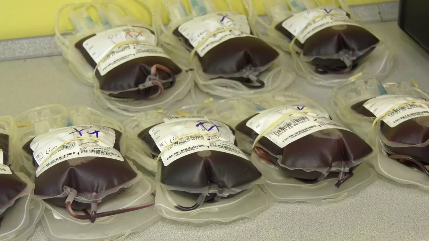 porozmawiajmy-rck-barbara-slodownik.mp4