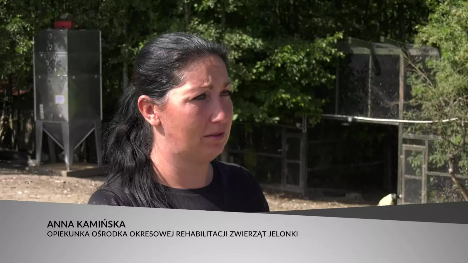 pomoc-dla-zwierzat-w-osrodku-jelonki.mp4