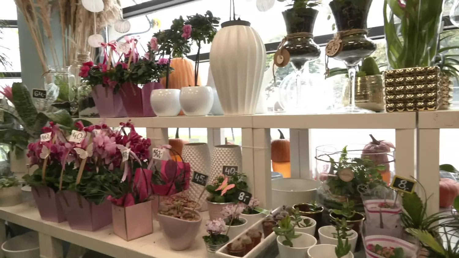 reklama-kwiaciarnia-romantyczna.mp4