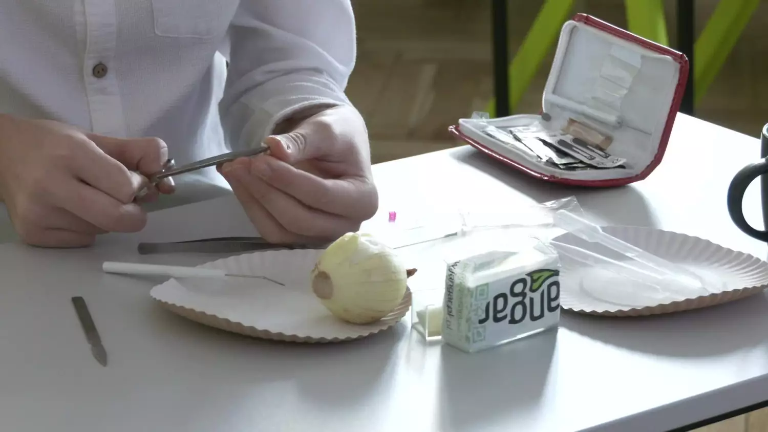 ekopracownia-sp-16.mp4