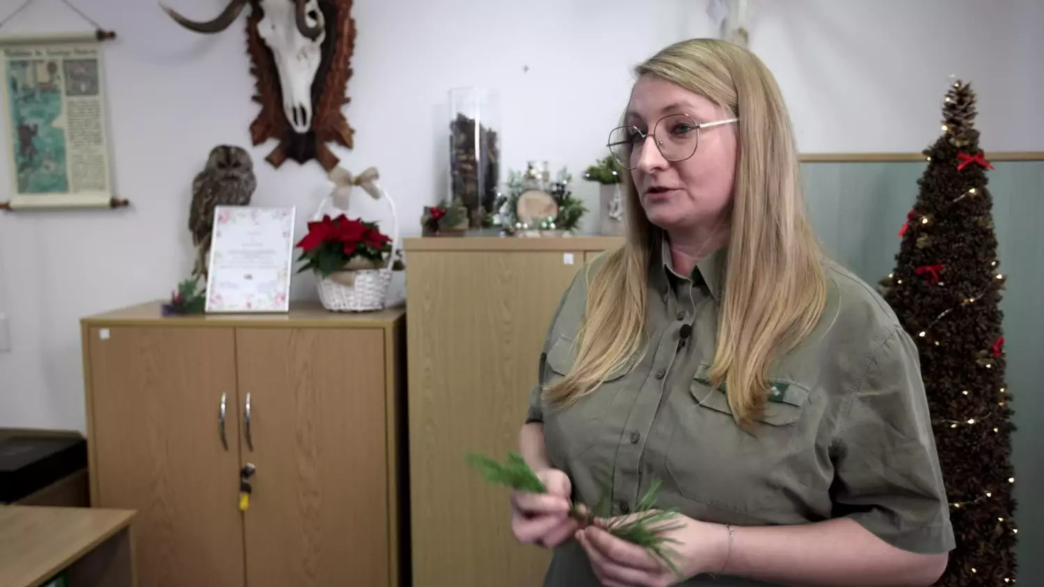 wokol-lasu-odc-5-2023-choinka01.mp4