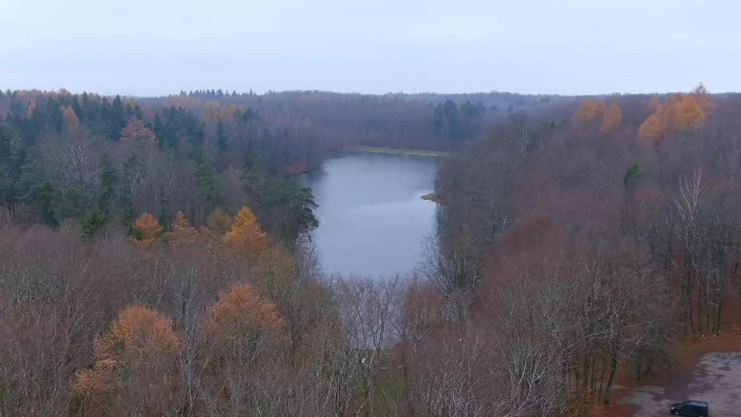 alfabet-lasu-odc5-zatrzymac-wode-w-lesie.mp4