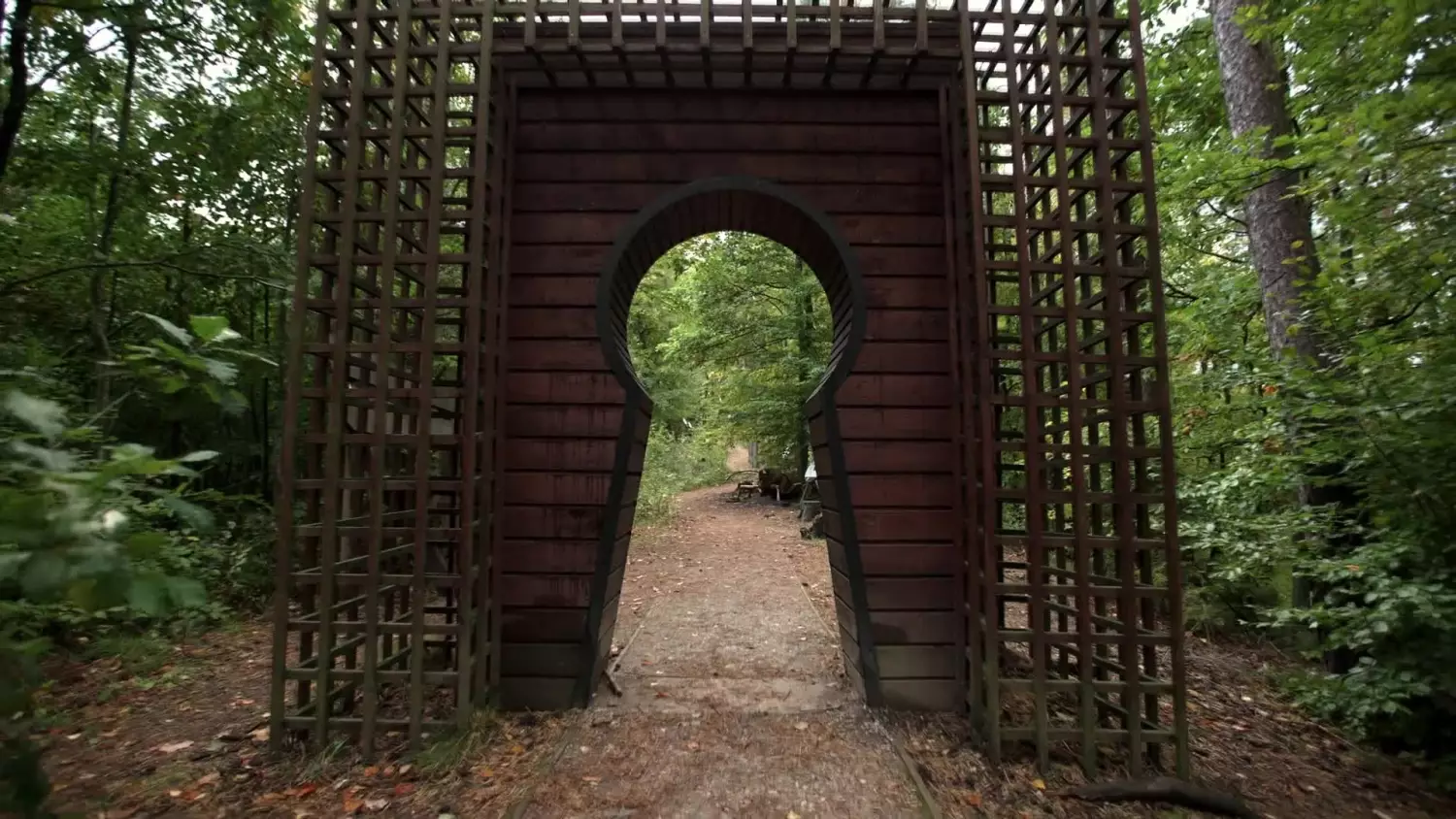 alfabet-lasu-odc3-edukacja-w-lesie.mp4