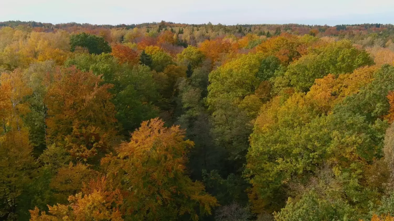 wokol-lasu-zaporowo-odc4-ochrona-przyrody.mp4