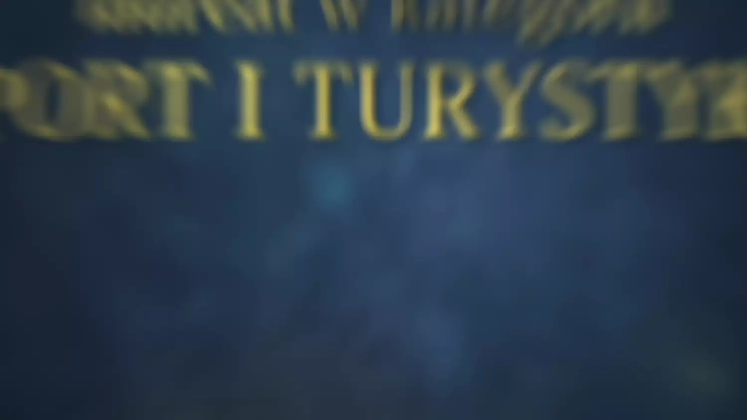 paulina-michal-judo.mp4