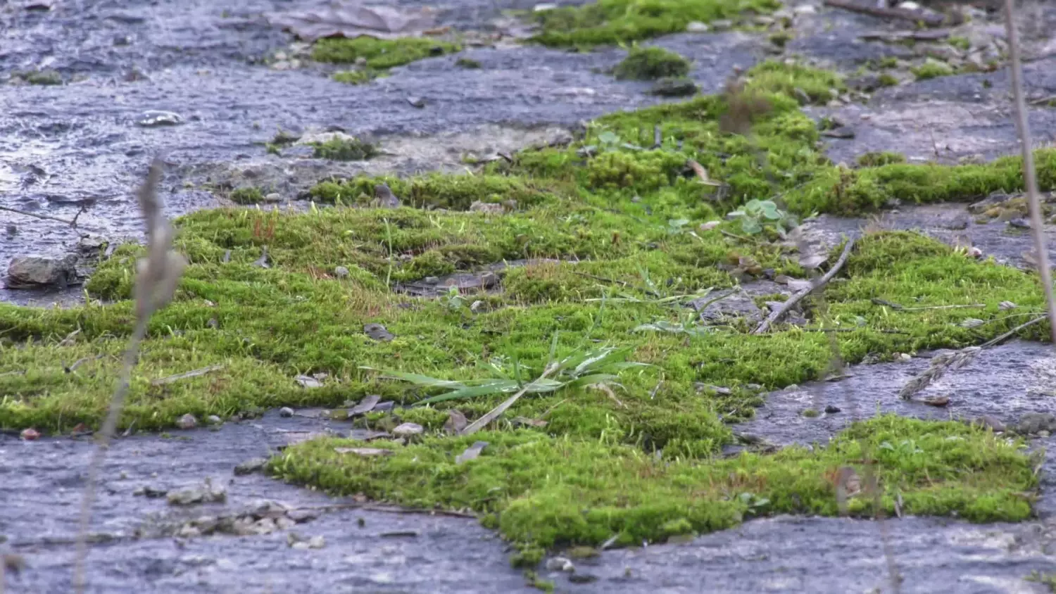 bez-komentarza-rewitalizacja-kapieliska-miejskiego-przy-ulicy-spacerowej.mp4