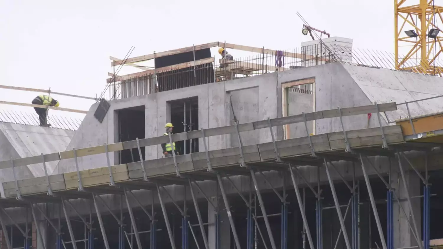 bez-komentarza-przeplyw-natury-i-pulsujace-zycie-nad-rzeka-elblag.mp4