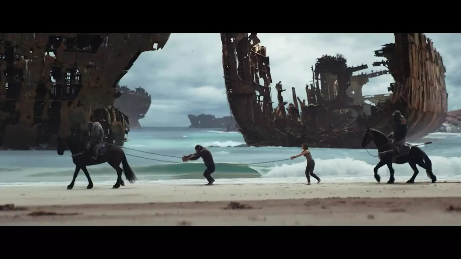 zapowiedz-kino-2024-05-08.mp4