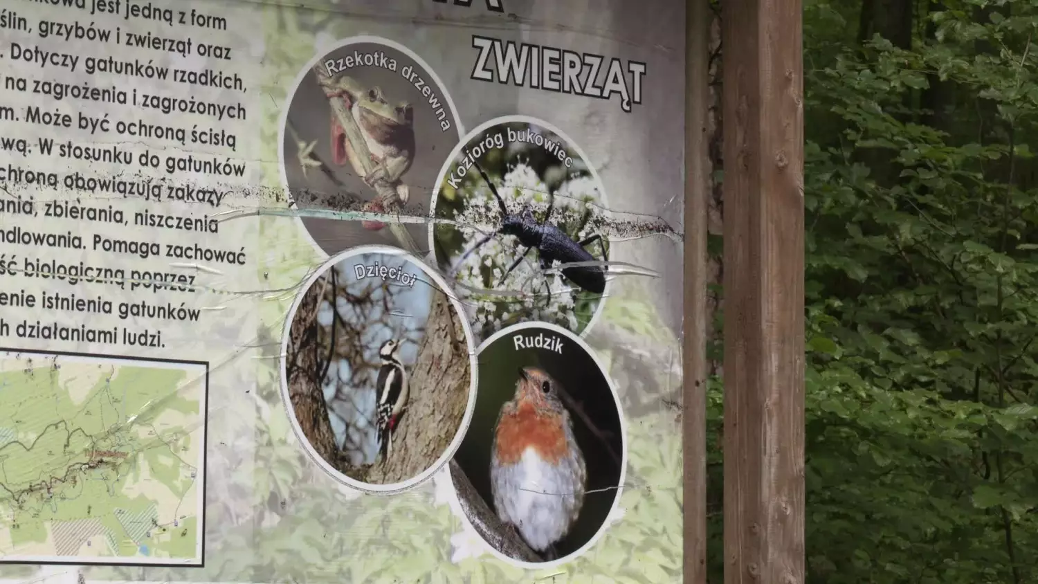 sekrety-wysoczyzny-elblaskiej-bazantarnia-popr.mp4