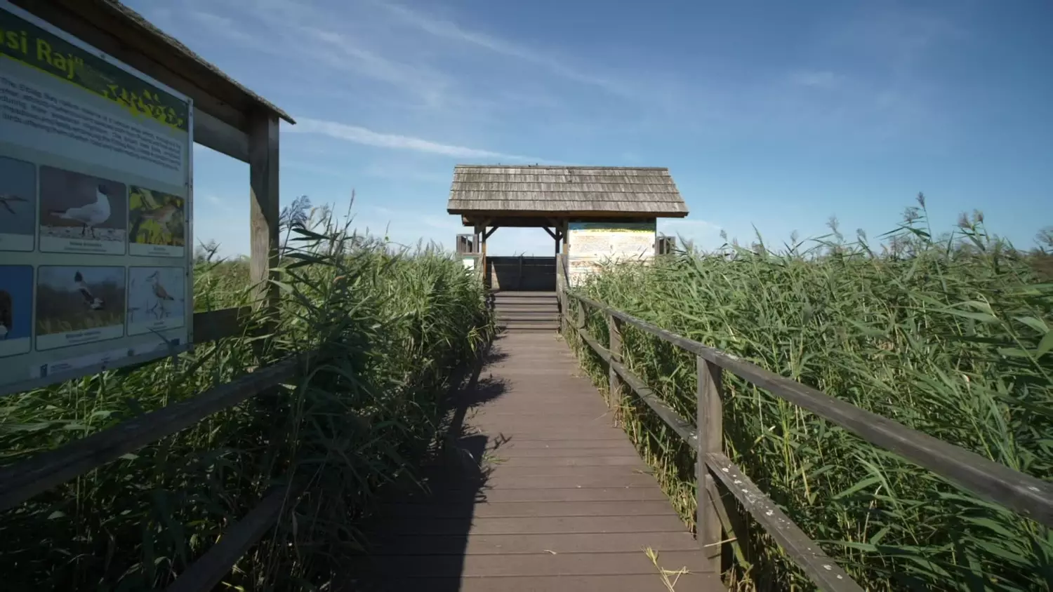 sekrety-wysoczyzny-elblaskiej-dab-hoggo.mp4