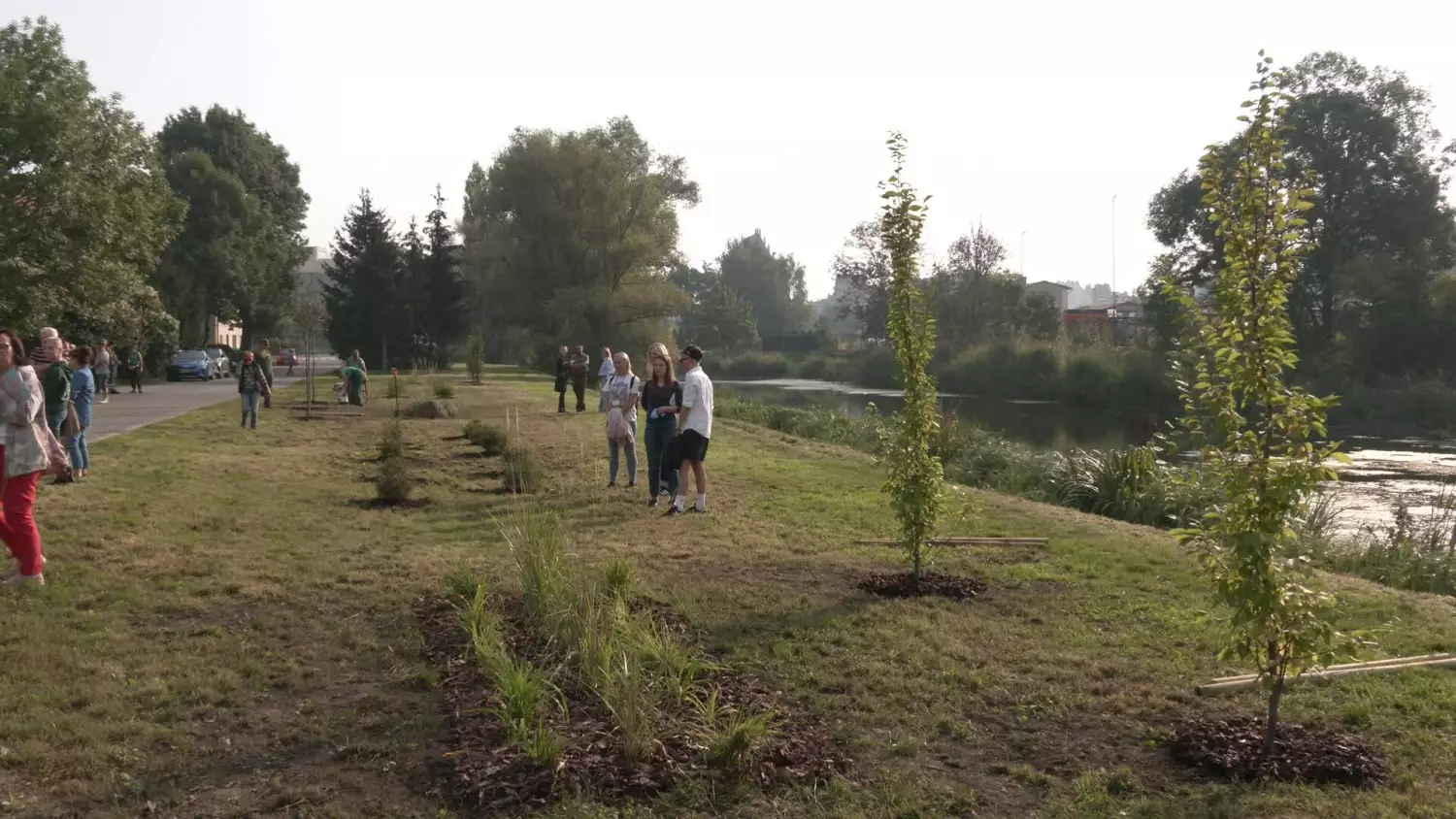 projekt-co-green.mp4