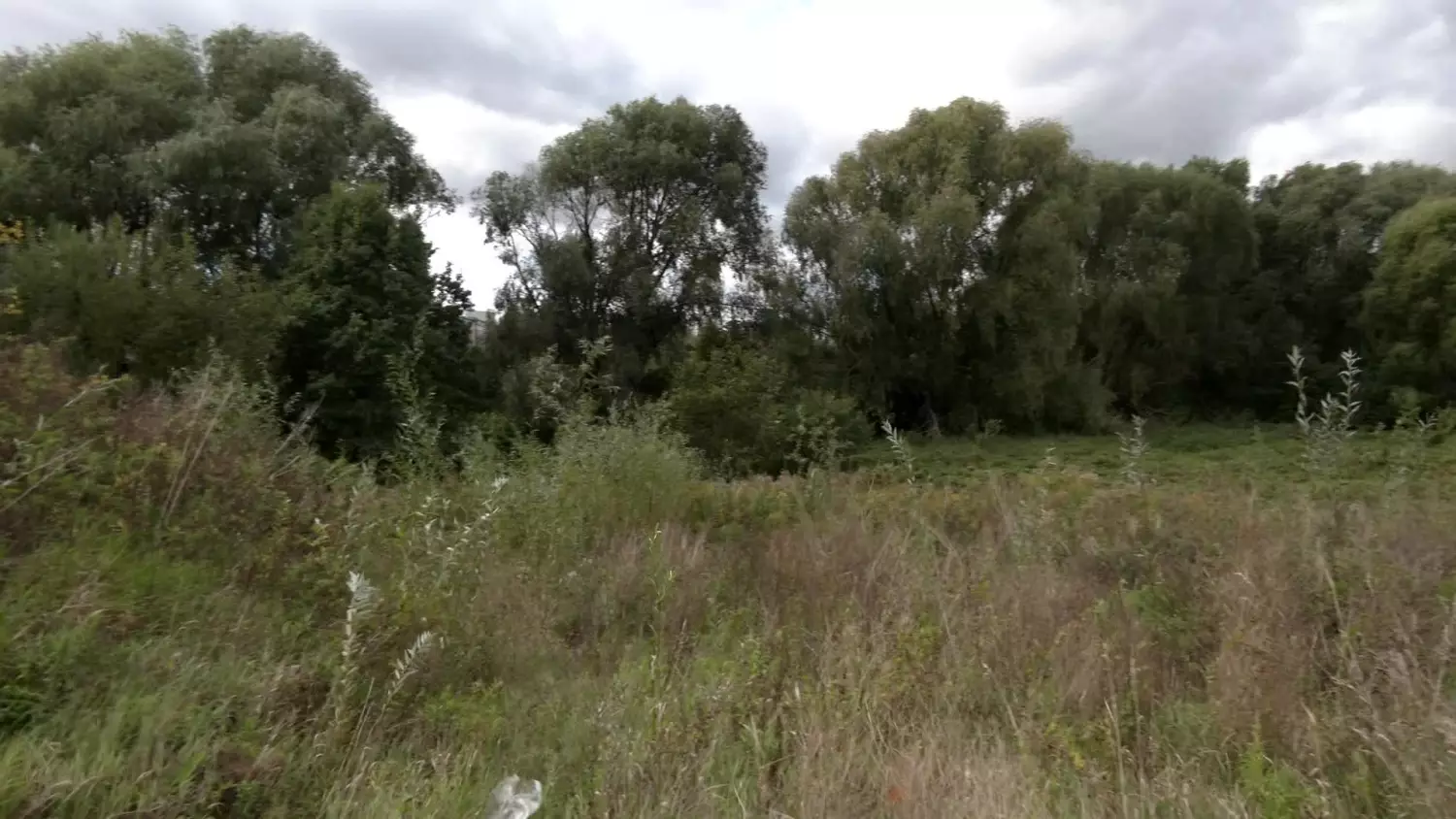 bez-komentarza-dzialki-na-sprzedaz.mp4