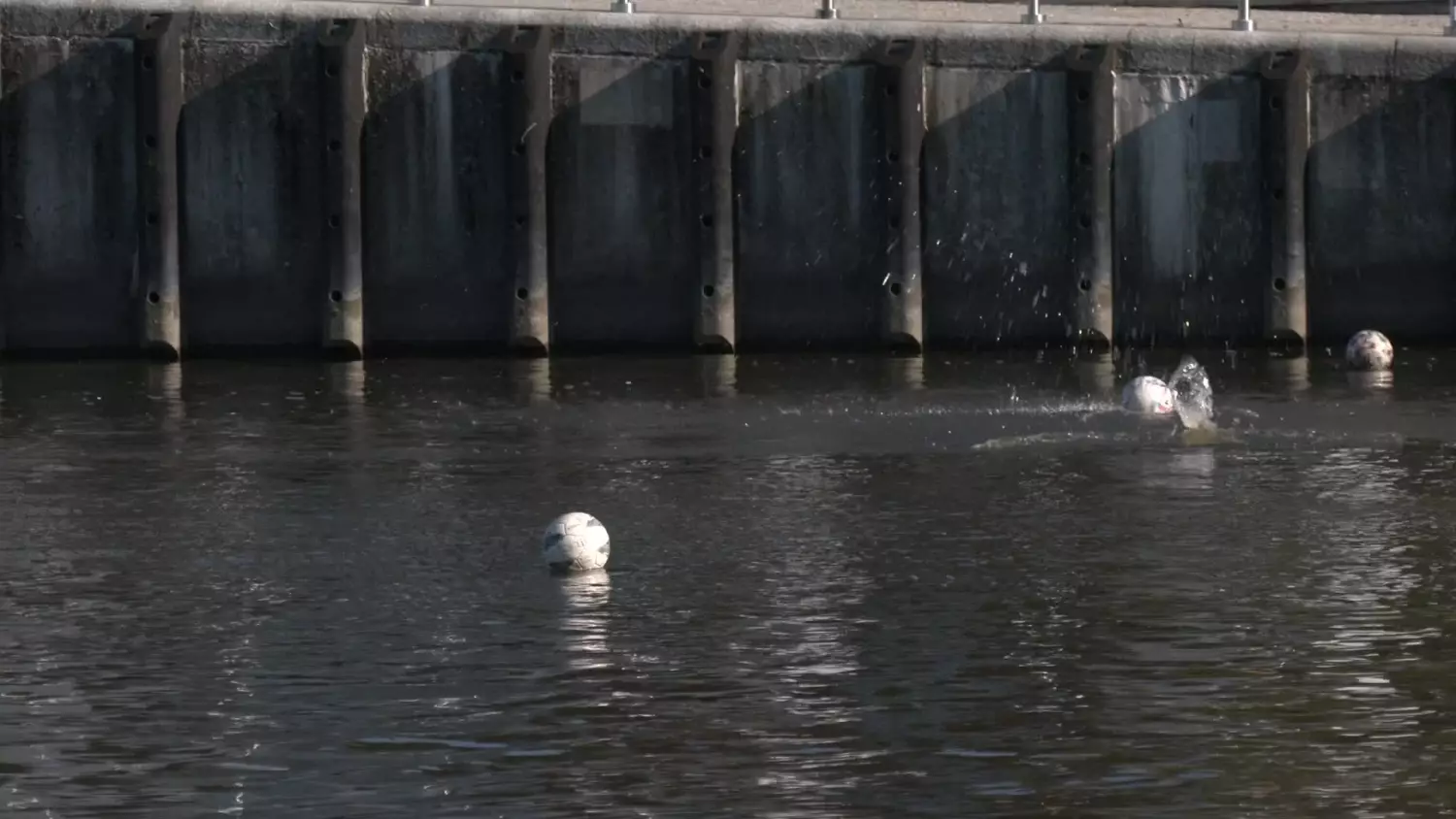 bez-komentarza-przekop-rzeke.mp4