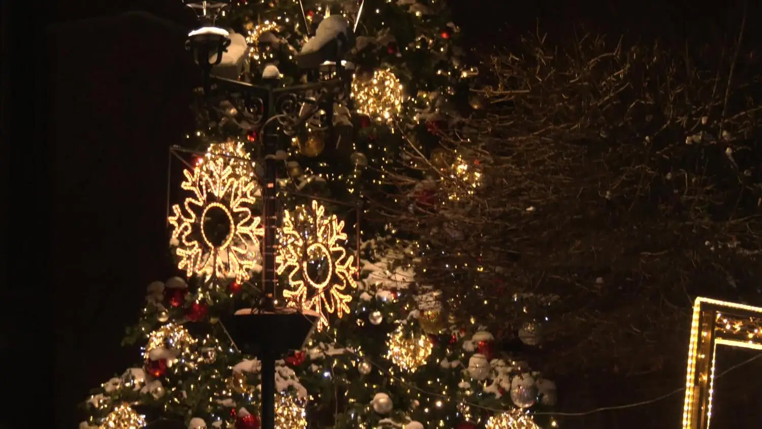 elblaski-jarmark-bozonarodzeniowy.mp4