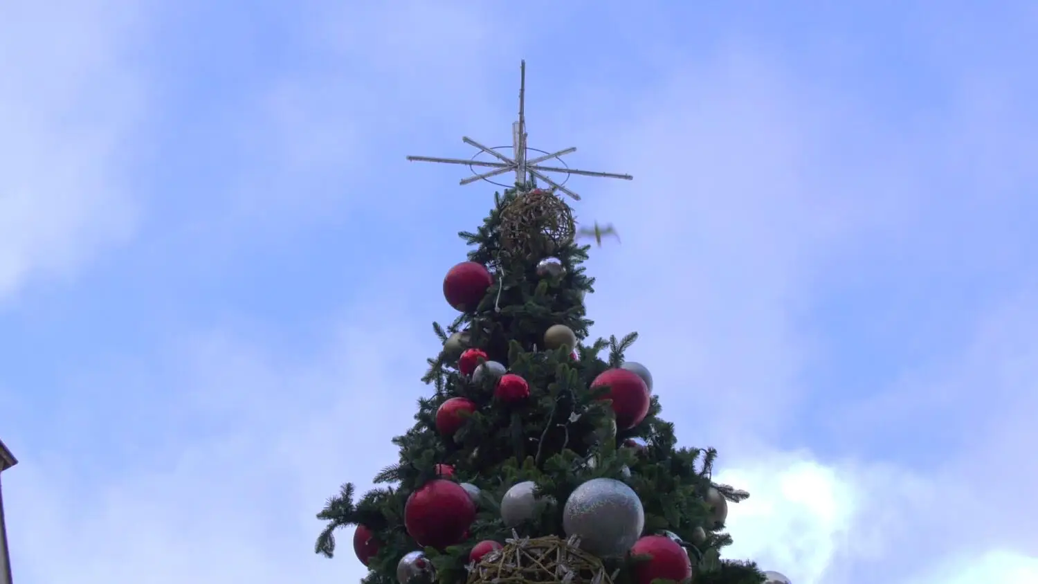 choinka-brama-elfow.mp4