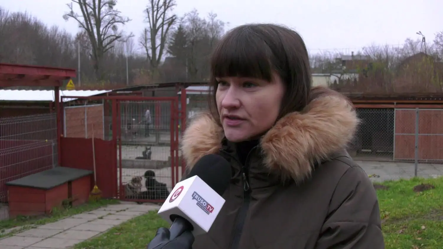 zrob-prezent-podopiecznym-elblaskiego-schroniska.mp4