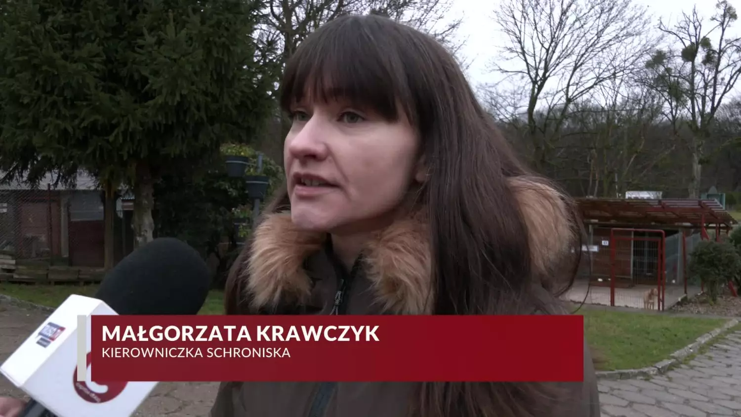 porozmawiajmy-malgorzata-krawczyk-schronisko-po-sylwestrze.mp4