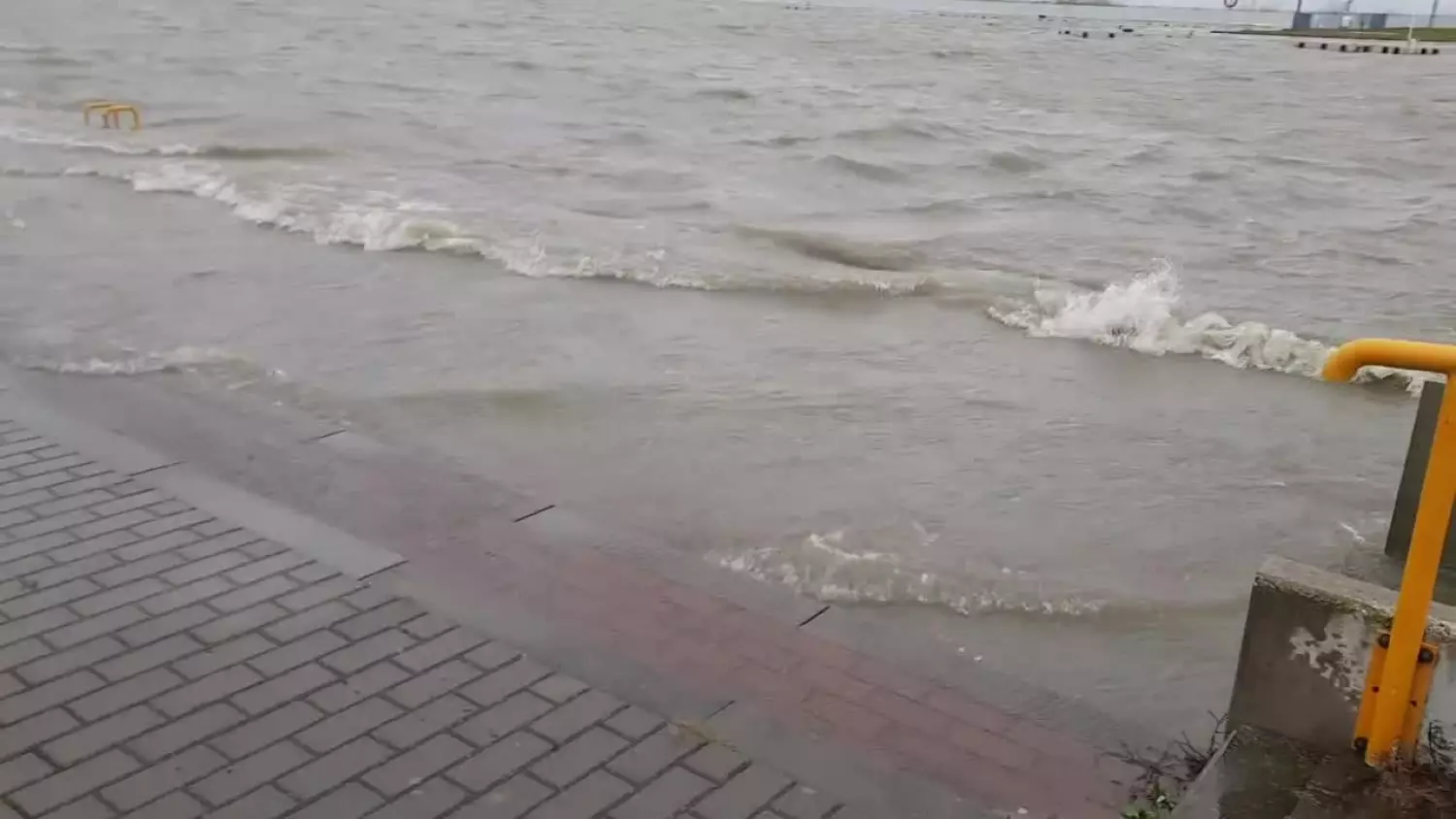 zalew-wislany-tolkmicko-1201.mp4