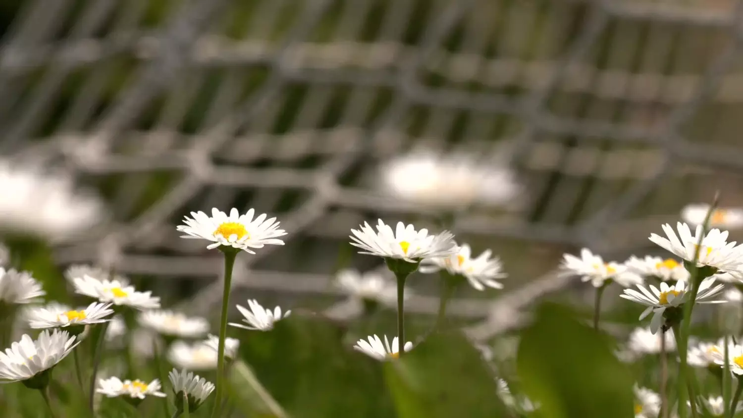 poznalismy-zwycieska-nazwe-stadionu.mp4
