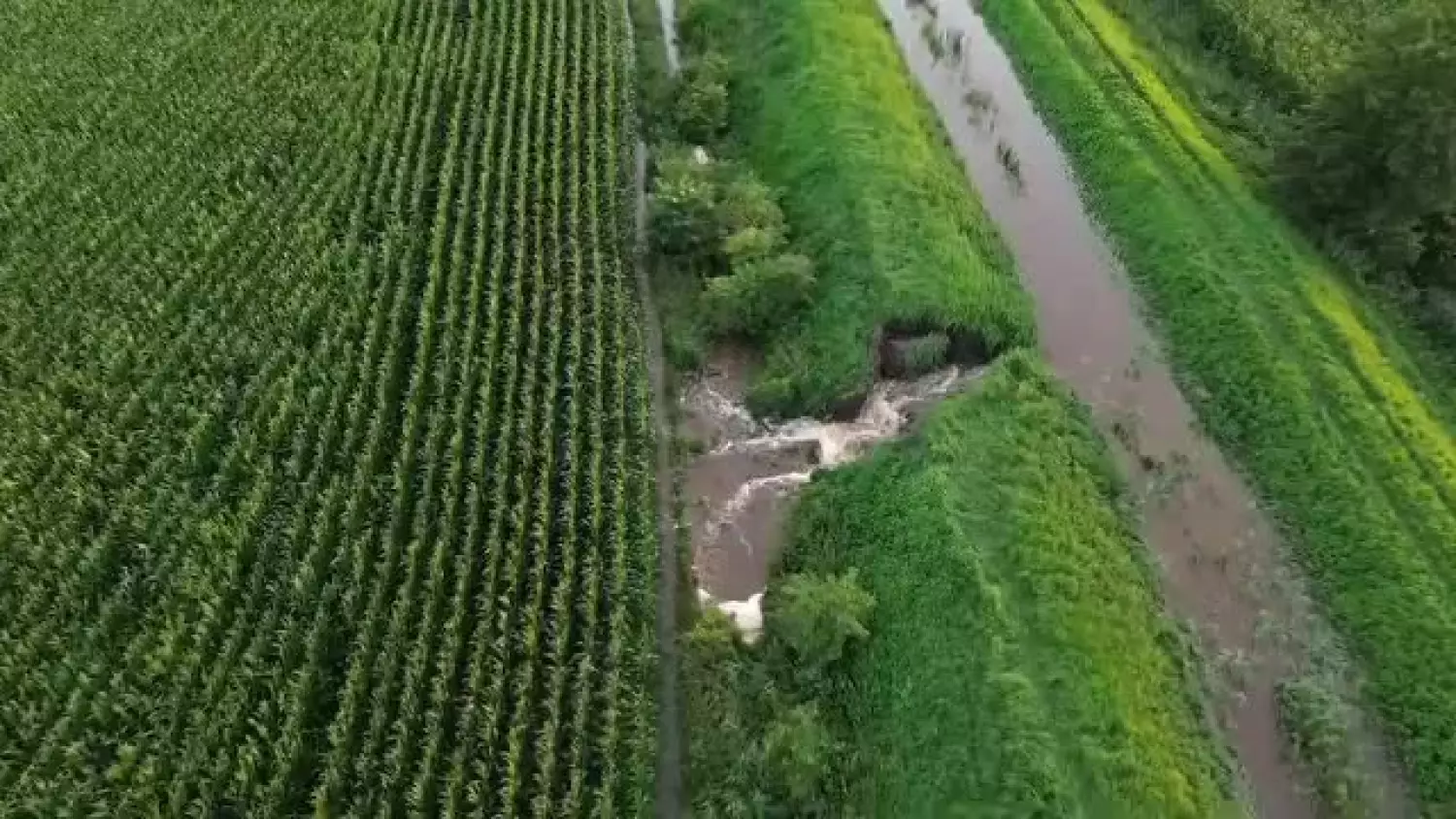 aqpr8utgmdsso2mf9hc2rce2qnvthgp-3umqv8cuhei2kvkzsvnilke53s89l3kn5bnnvyez6ydlphe4x2jdopshtk59gpse3wpqapnfiq.mp4