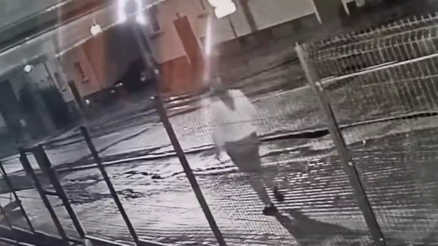 Komenda Miejska Policji w Elblągu